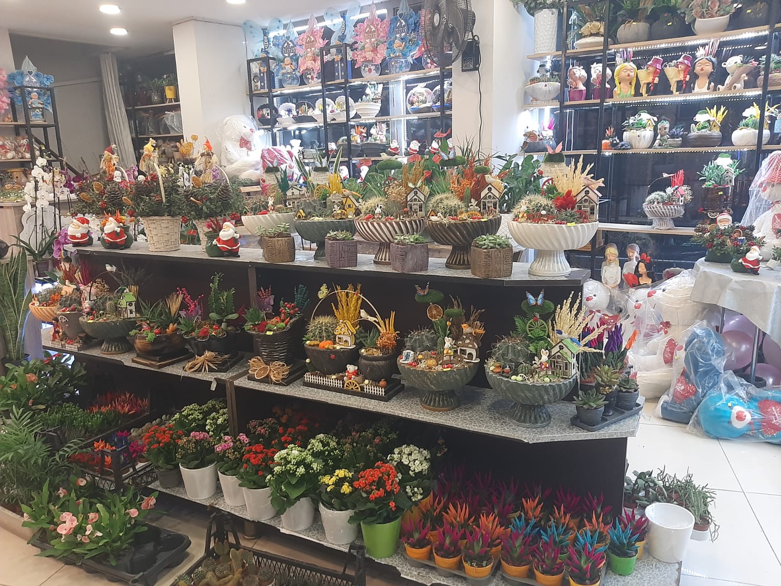 Burdur Çiçekçi - Yağmur Çiçekçilik